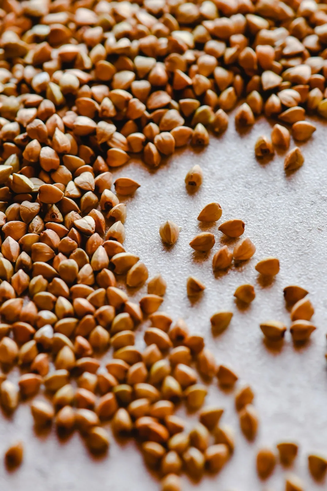 Grains de sarrasin bruns en tas et éparpillés sur une surface claire