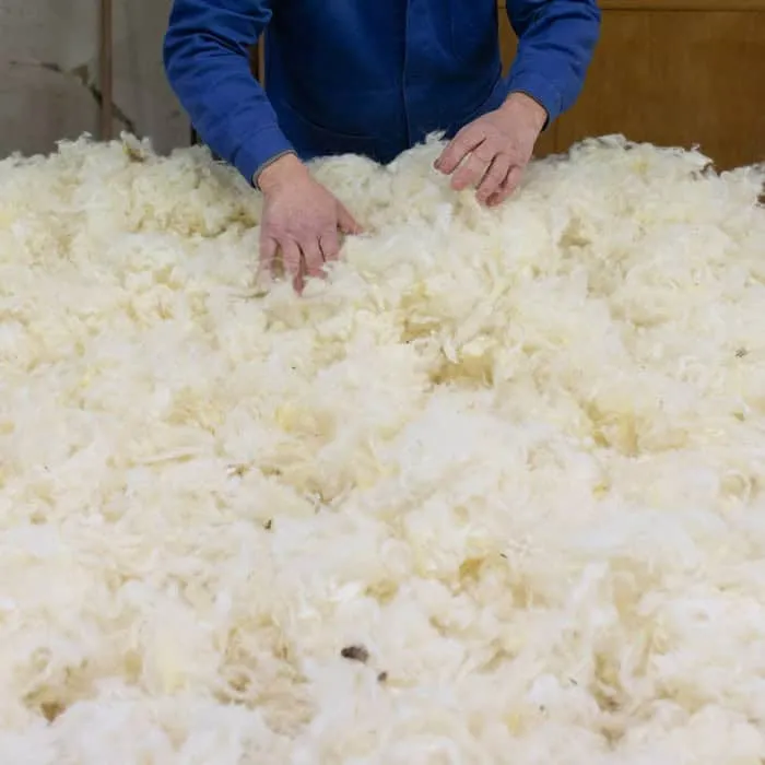 Les deux mains d'un artisan enfouies dans une montagne de laine de mouton