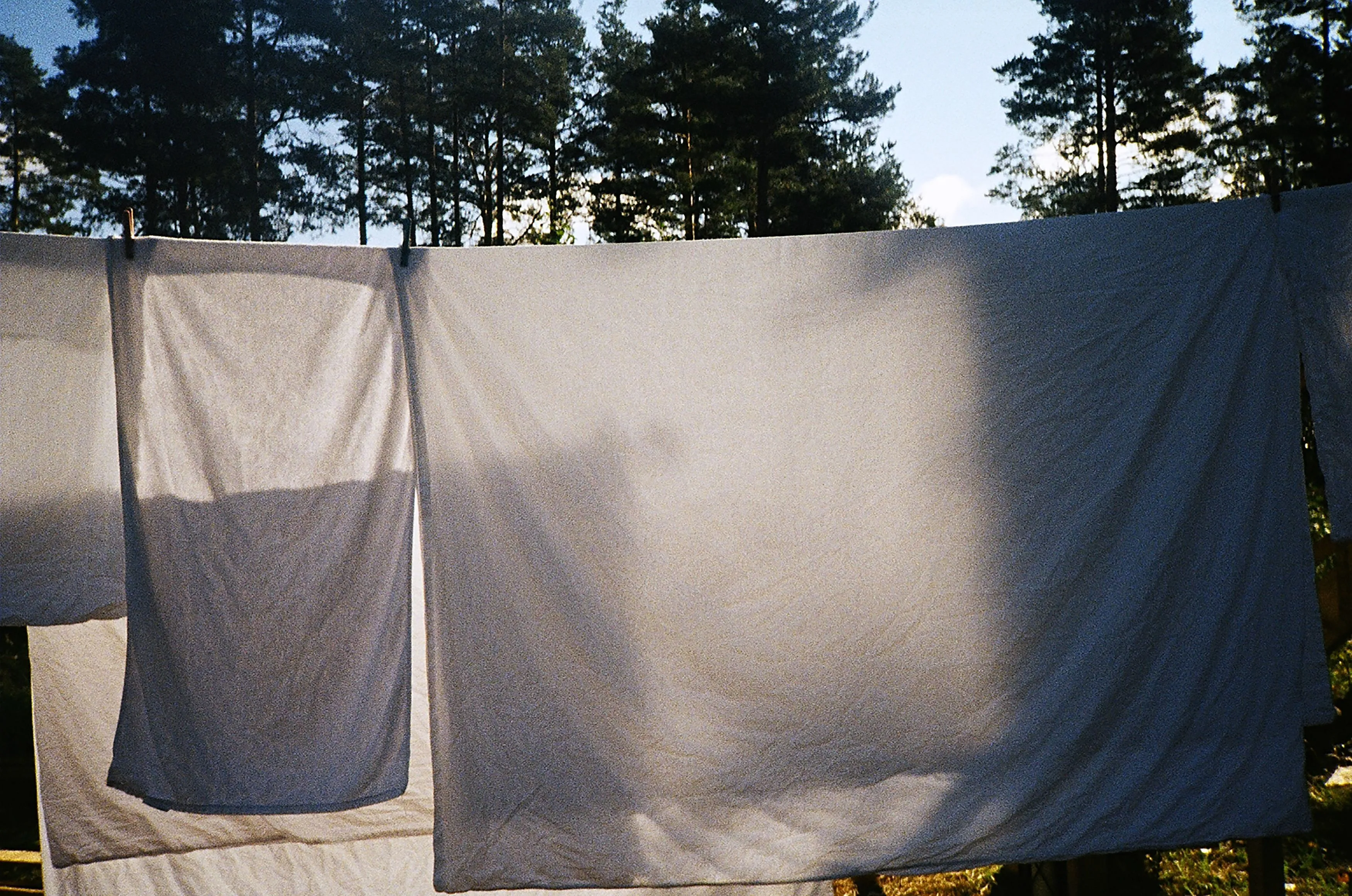 Linge de lit blanc étendu à sécher à l'air libre devant une forêt, dans la lumière du soleil